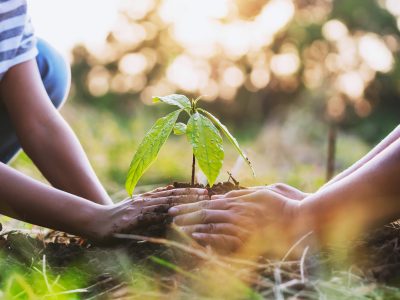 mother with children helping planting tree in nature for save earth. environment eco concept